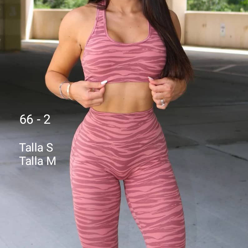 ROPA DEPORTIVA SERIE N°66 - Imagen 3