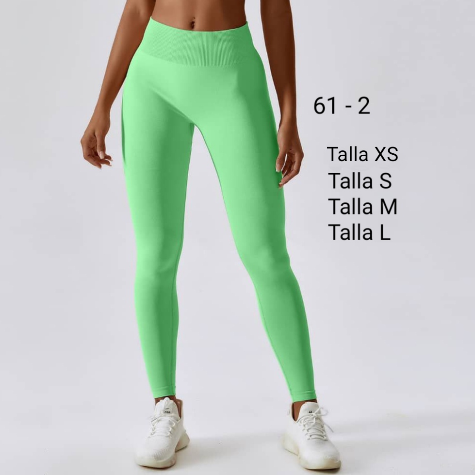 ROPA DEPORTIVA SERIE N°61 - Imagen 4