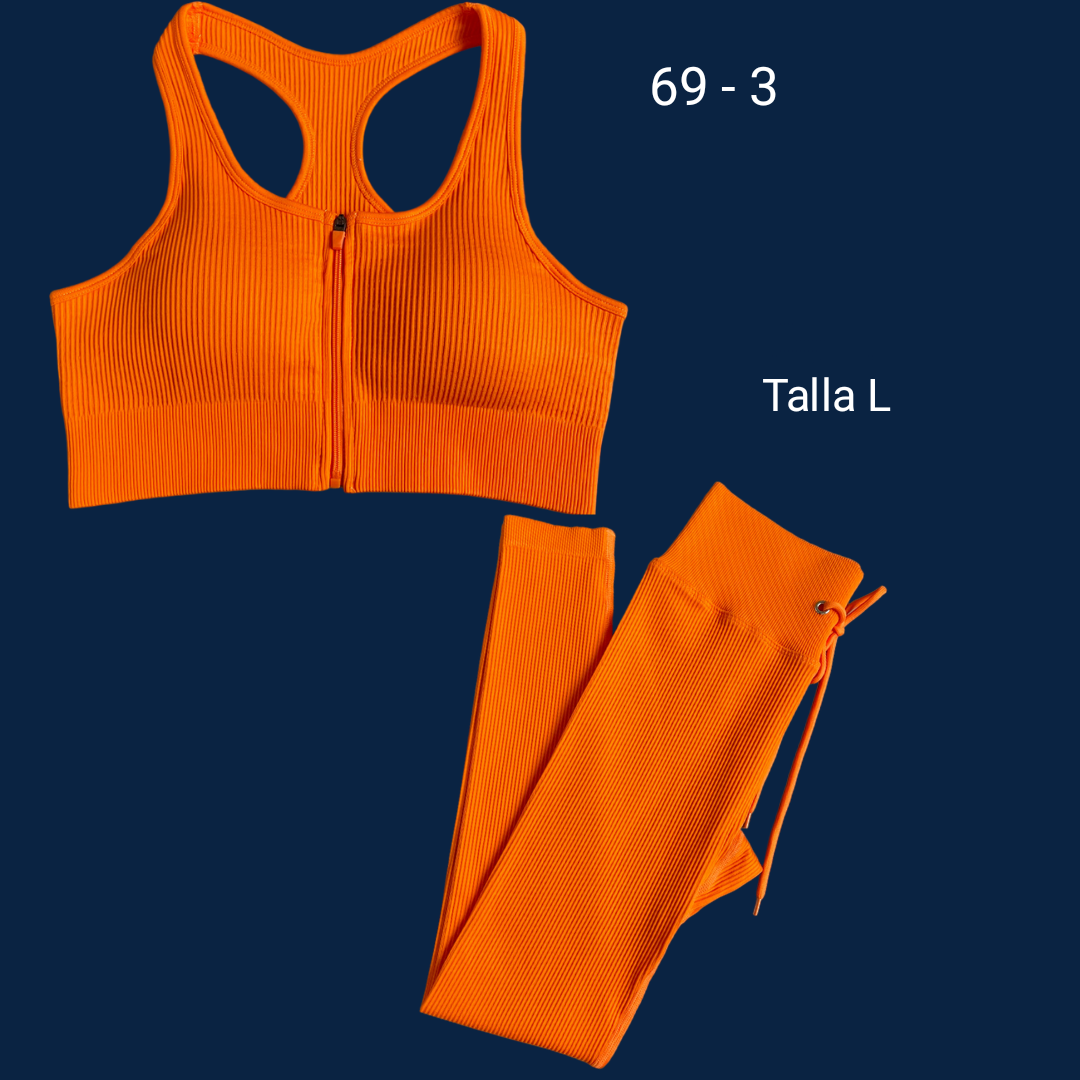 ROPA DEPORTIVA SERIE N°69 - Imagen 2